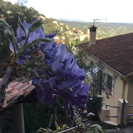 Skylark 2* Grasse